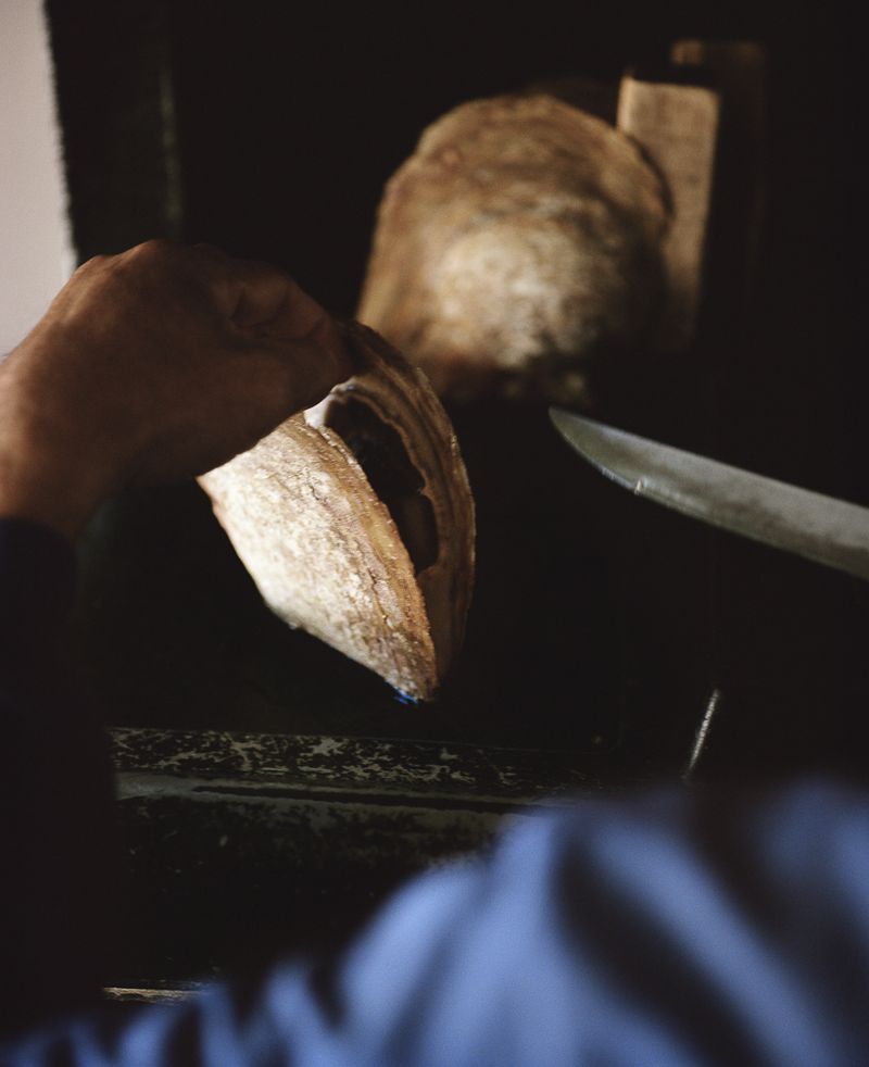 © Rita Puig-Serra Costa - Image from the Anatomy of an Oyster photography project