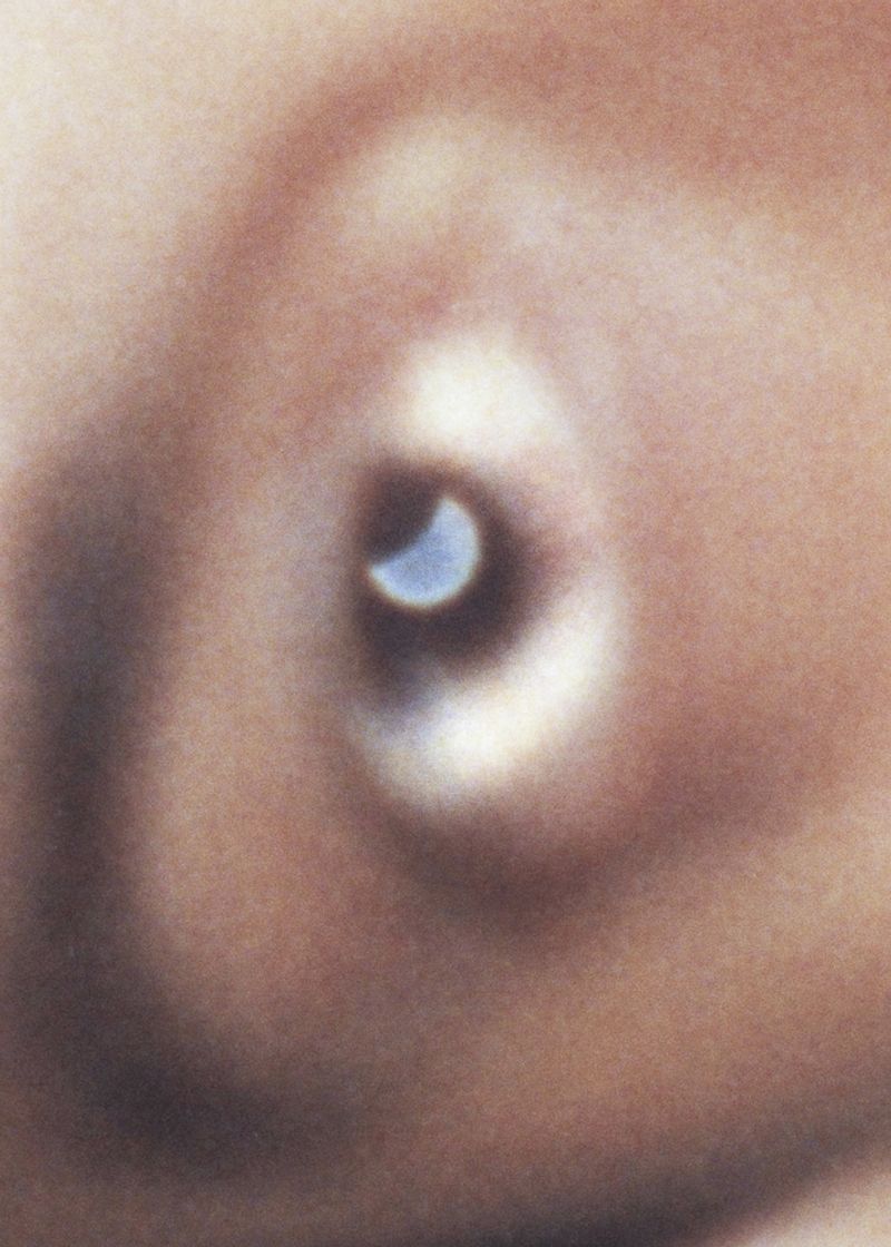 © Rita Puig-Serra Costa - Image from the Anatomy of an Oyster photography project