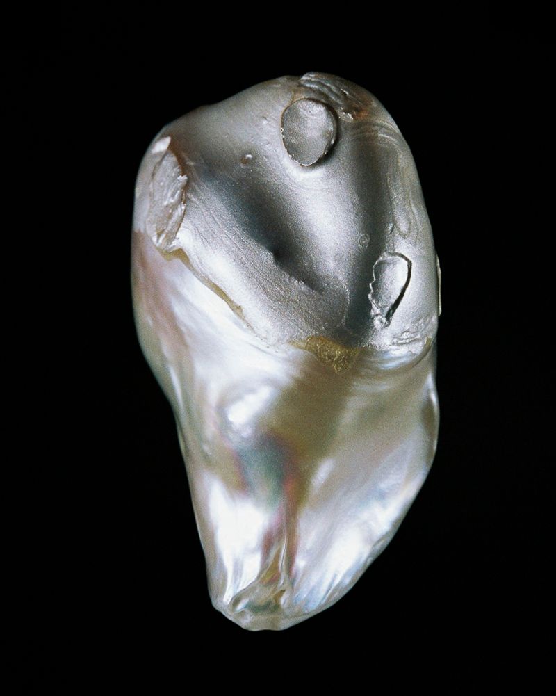 © Rita Puig-Serra Costa - Image from the Anatomy of an Oyster photography project