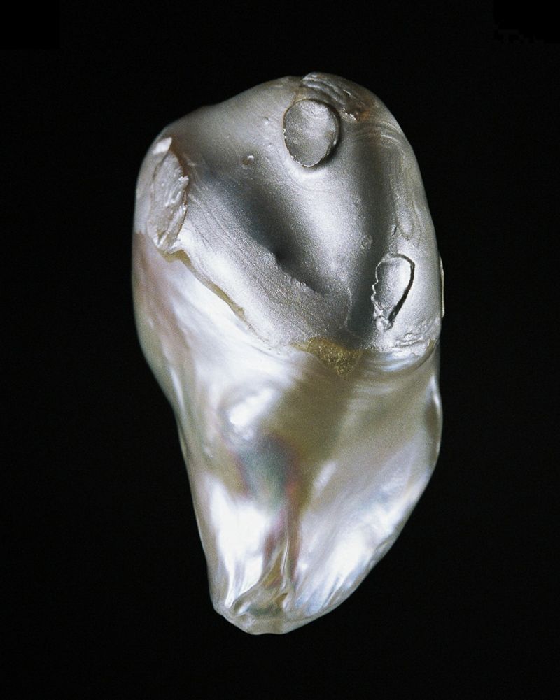 © Rita Puig-Serra Costa - Image from the Anatomy of an Oyster photography project