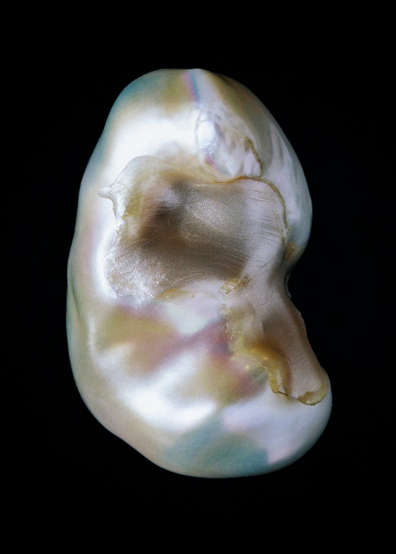 © Rita Puig-Serra Costa - Image from the Anatomy of an Oyster photography project