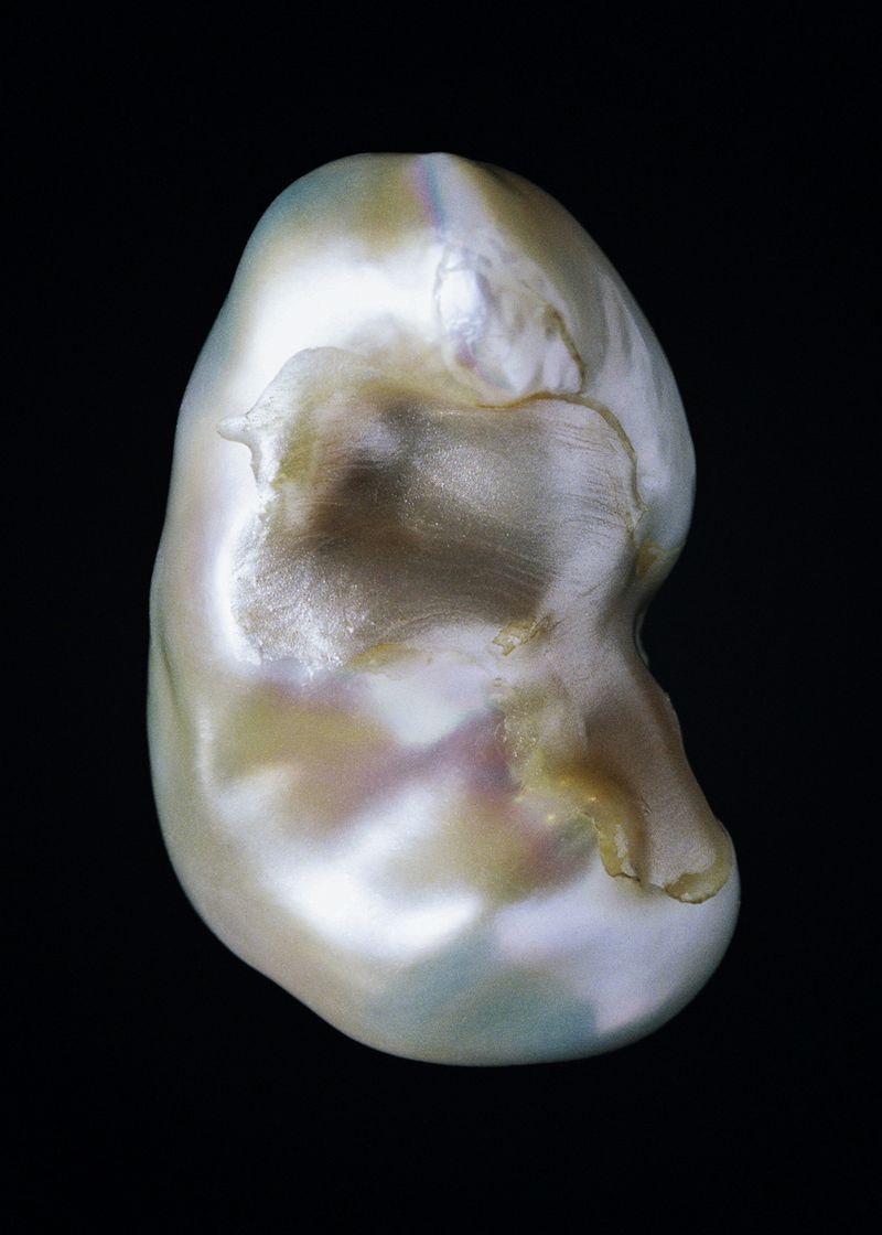 © Rita Puig-Serra Costa - Image from the Anatomy of an Oyster photography project