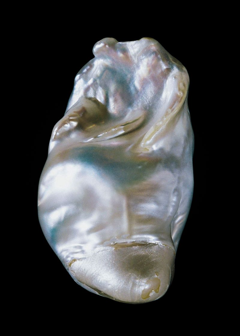 © Rita Puig-Serra Costa - Image from the Anatomy of an Oyster photography project