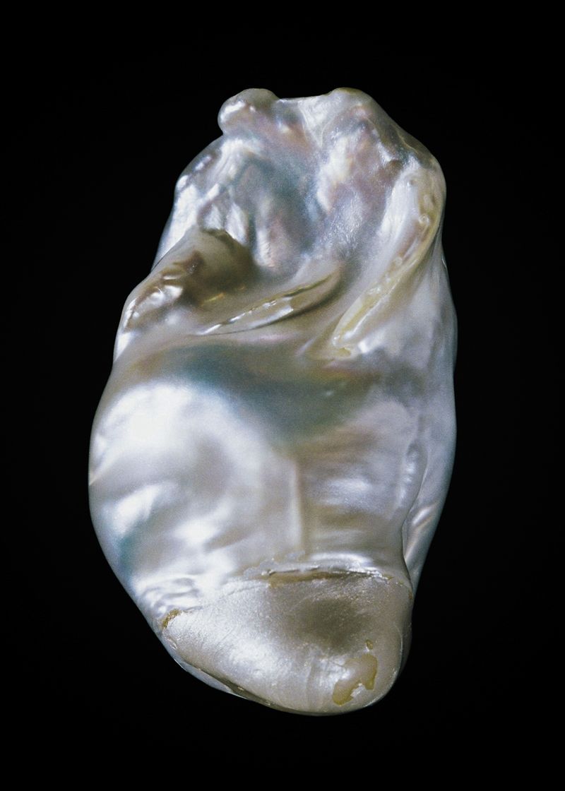 © Rita Puig-Serra Costa - Image from the Anatomy of an Oyster photography project