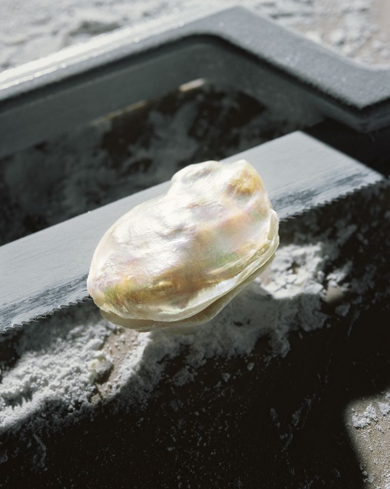 © Rita Puig-Serra Costa - Image from the Anatomy of an Oyster photography project