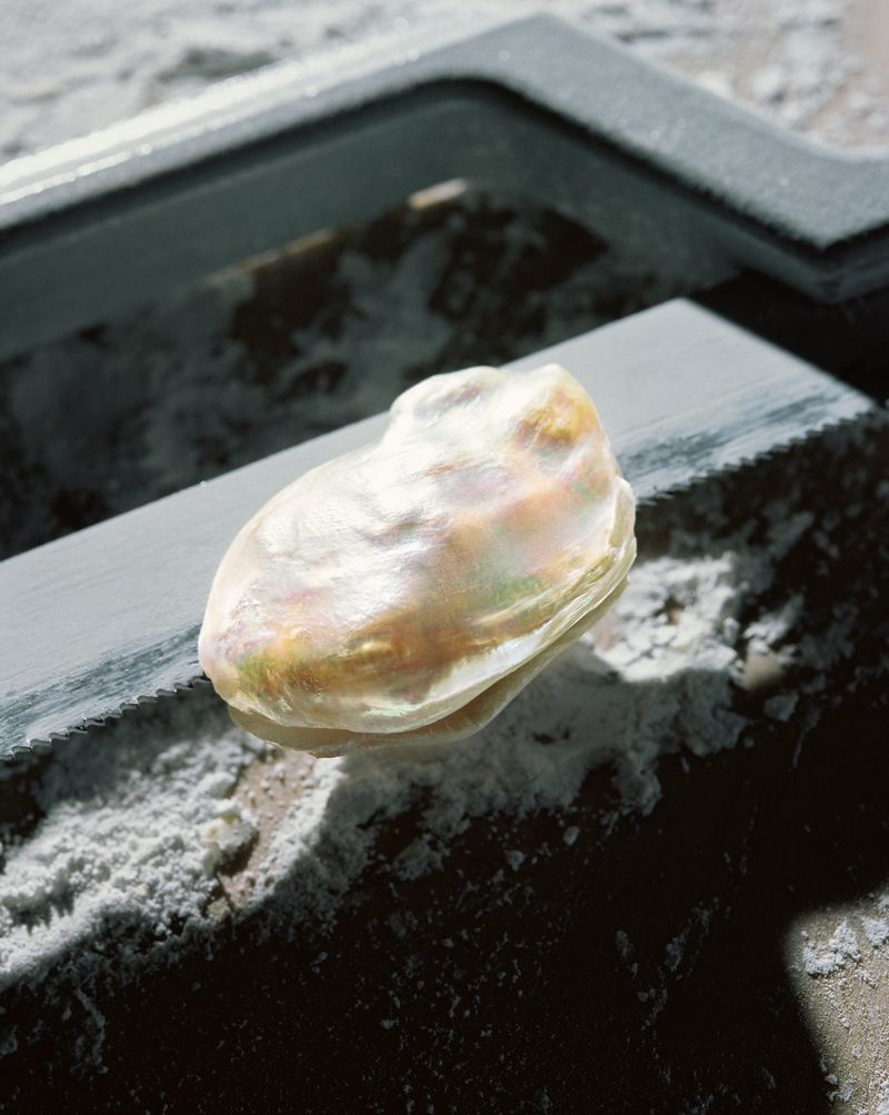 © Rita Puig-Serra Costa - Image from the Anatomy of an Oyster photography project