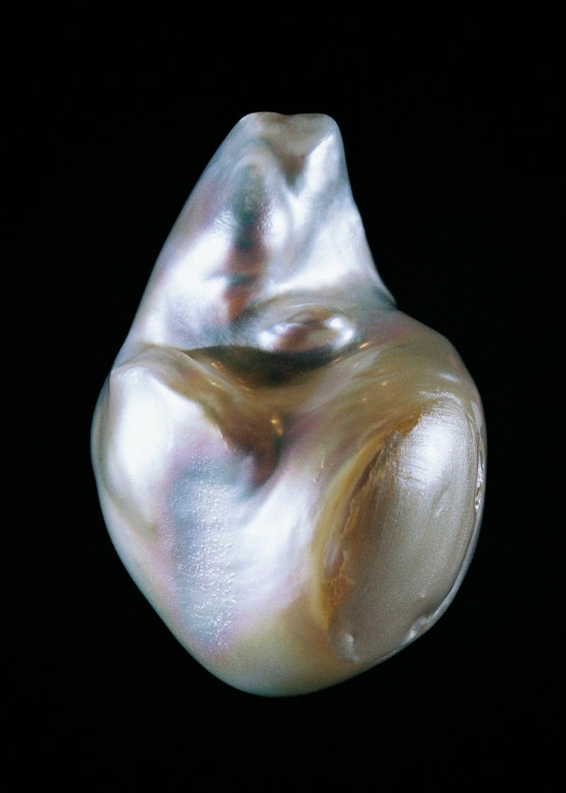 © Rita Puig-Serra Costa - Image from the Anatomy of an Oyster photography project
