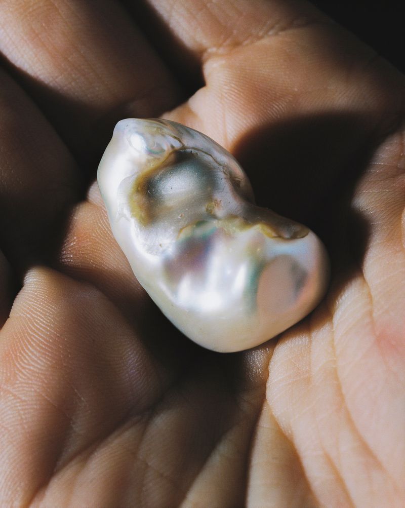 © Rita Puig-Serra Costa - Image from the Anatomy of an Oyster photography project