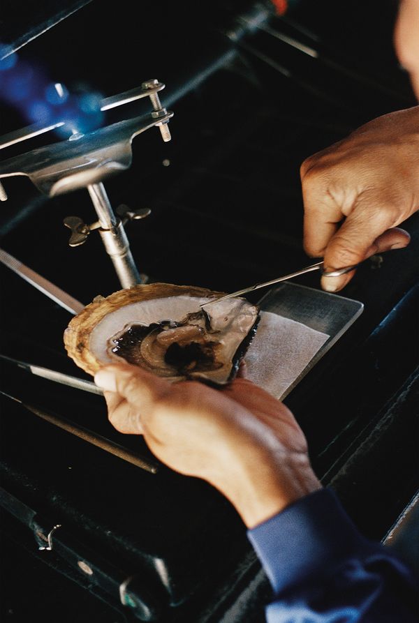 © Rita Puig-Serra Costa - Image from the Anatomy of an Oyster photography project