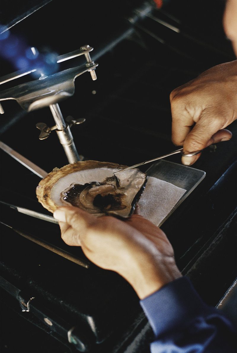 © Rita Puig-Serra Costa - Image from the Anatomy of an Oyster photography project