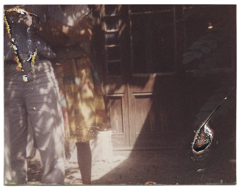 © Rita Puig-Serra Costa - Image from the Anatomy of an Oyster photography project