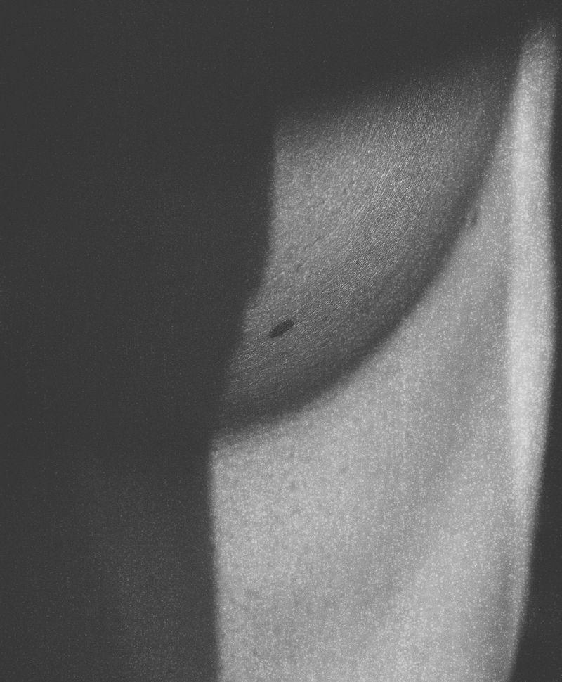 © Rita Puig-Serra Costa - Image from the Anatomy of an Oyster photography project