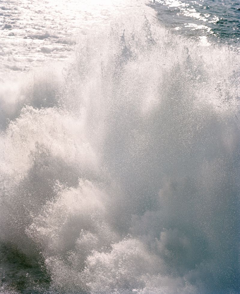 © Rita Puig-Serra Costa - Image from the Anatomy of an Oyster photography project