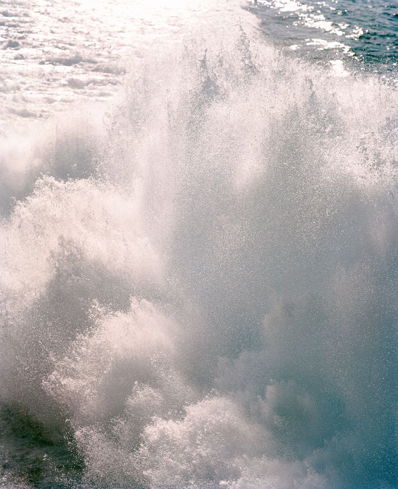 © Rita Puig-Serra Costa - Image from the Anatomy of an Oyster photography project