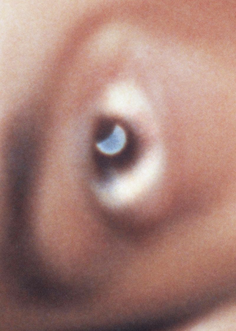 © Rita Puig-Serra Costa - Image from the Anatomy of an Oyster photography project