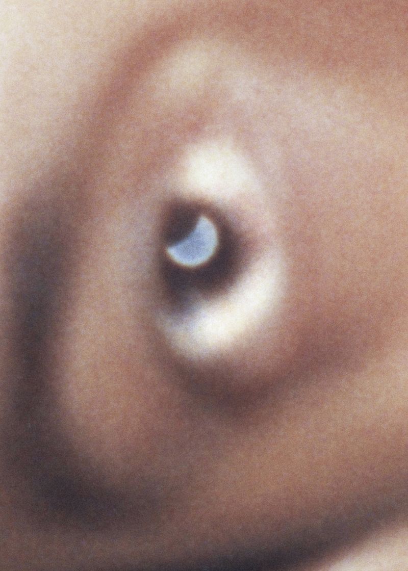 © Rita Puig-Serra Costa - Image from the Anatomy of an Oyster photography project