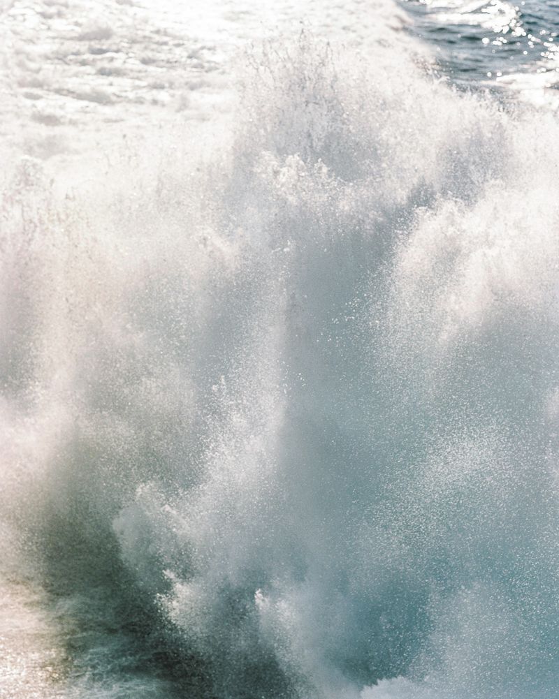 © Rita Puig-Serra Costa - Image from the Anatomy of an oyster photography project