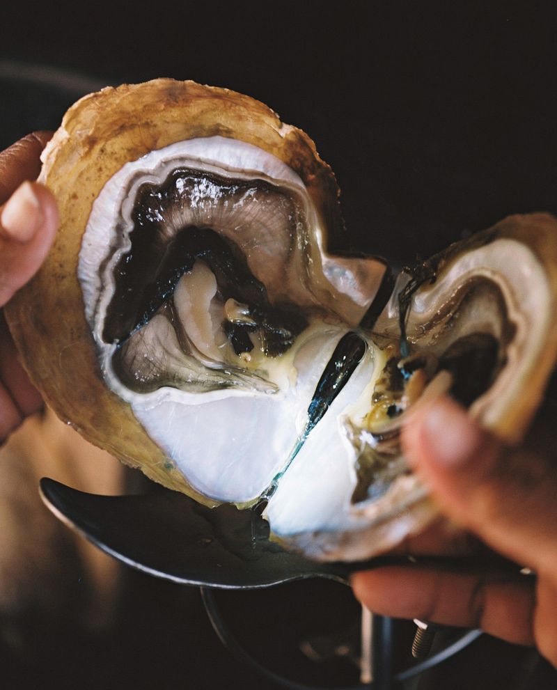 © Rita Puig-Serra Costa - Image from the Anatomy of an oyster photography project