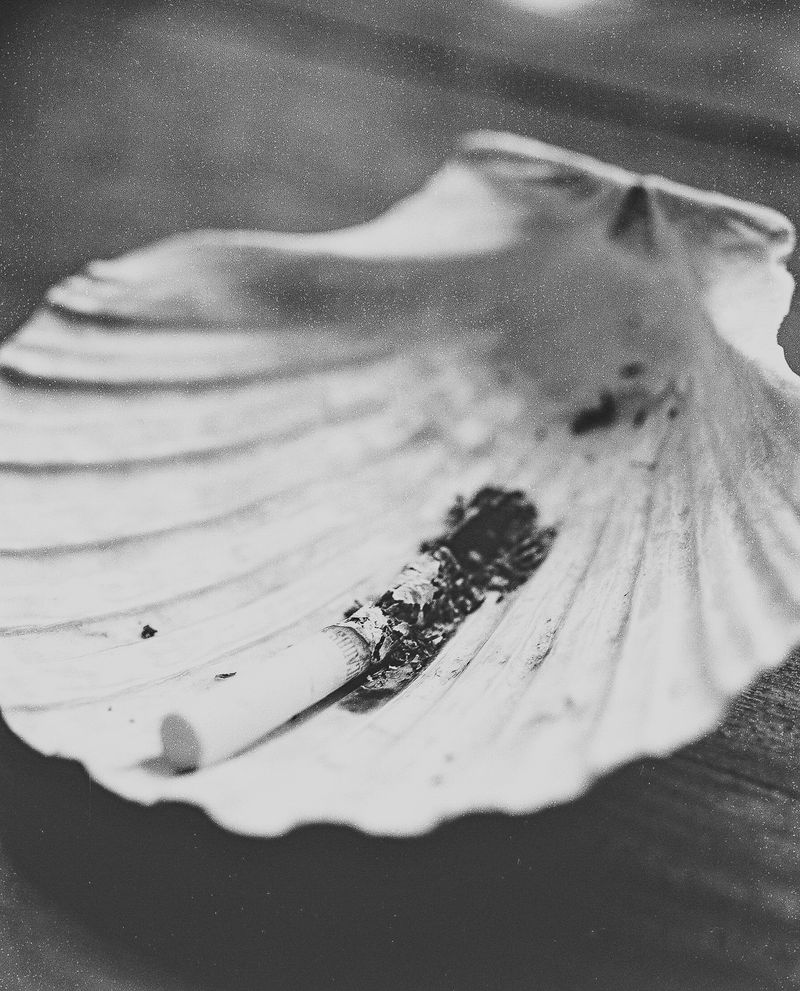 © Rita Puig-Serra Costa - Image from the Anatomy of an oyster photography project