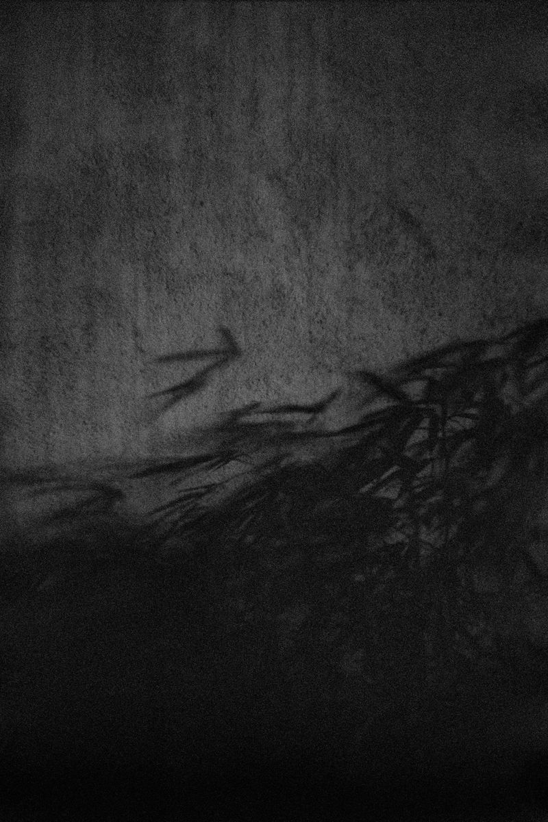 © Giulia Berto - You and I, like plants carrying the smell of home in the constant flux of a cross-country wind.