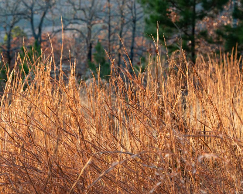 © Julianne Clark - Image from the After Maxine photography project