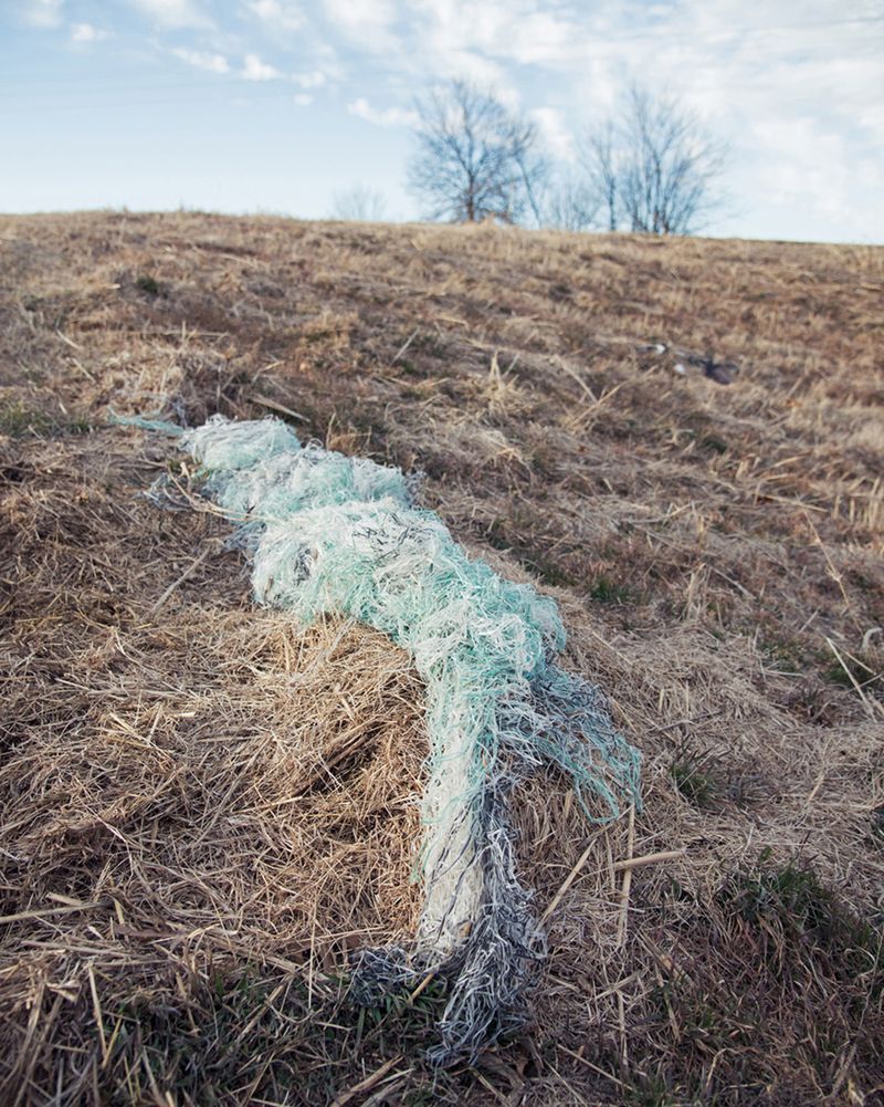 © Julianne Clark - Image from the After Maxine photography project