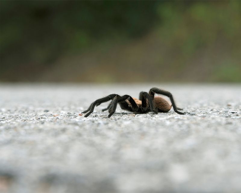 © Julianne Clark - Image from the After Maxine photography project