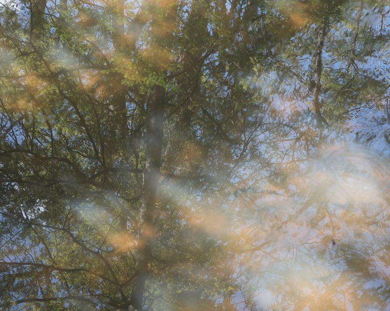 © Julianne Clark - Image from the After Maxine photography project