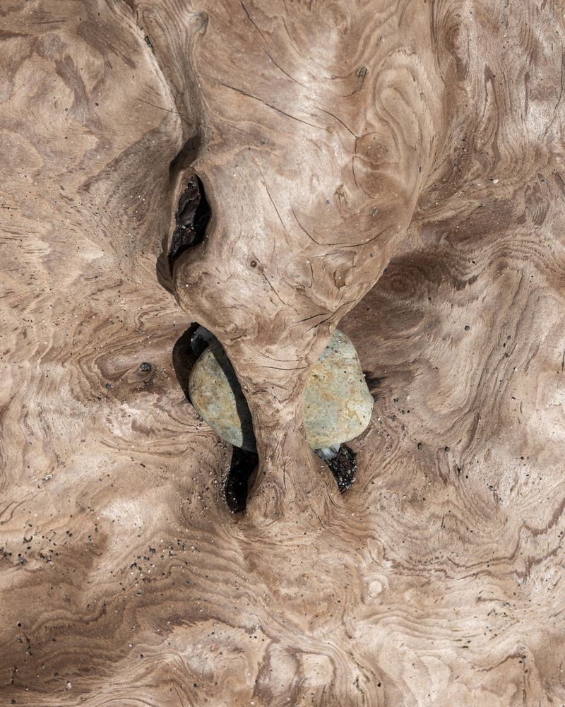 © Julianne Clark - Image from the Golden Spring photography project