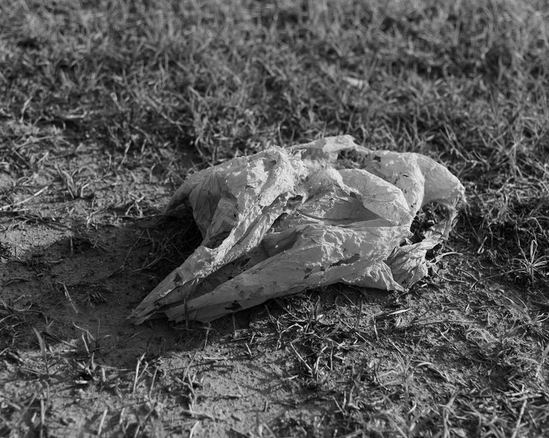 © Julianne Clark - Image from the Golden Spring photography project