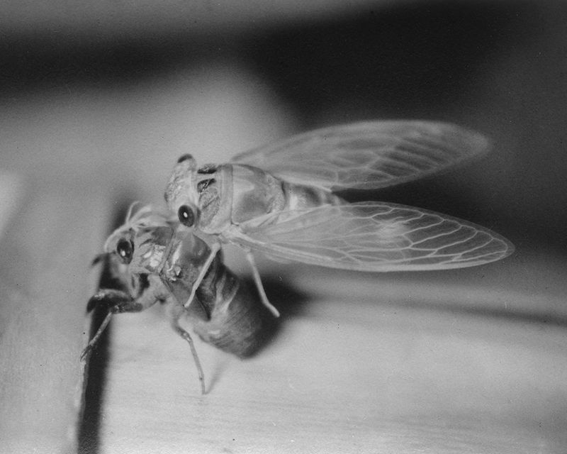 © Julianne Clark - Image from the Golden Spring photography project