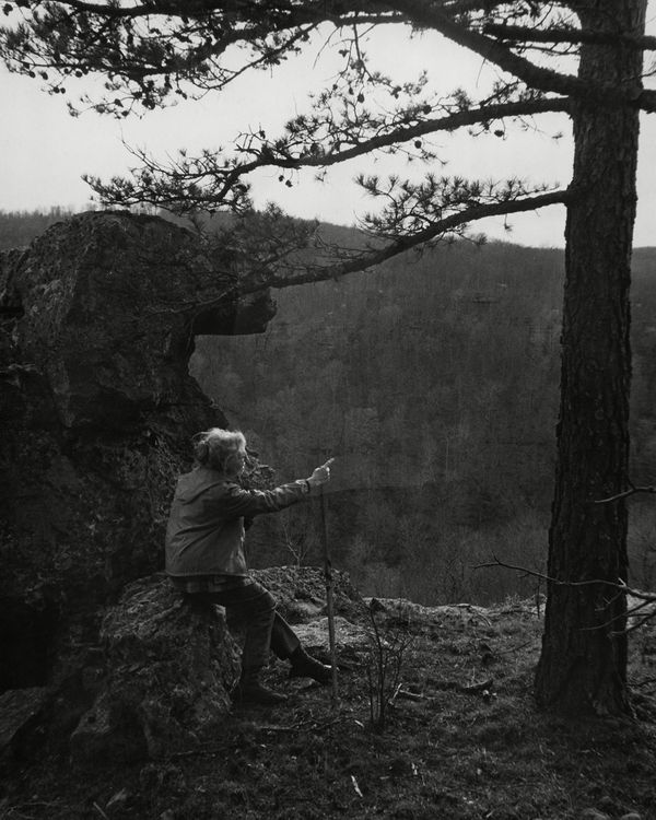 © Julianne Clark - Image from the Golden Spring photography project