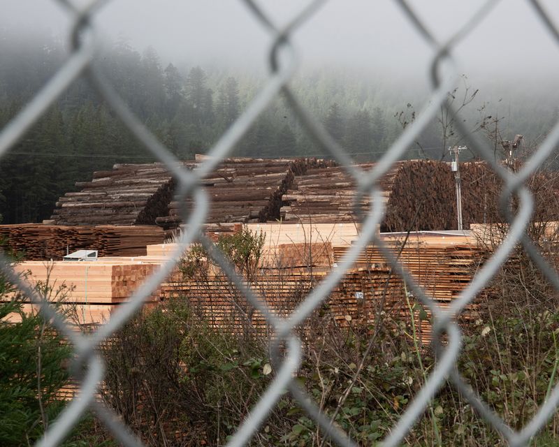 © Julianne Clark - Image from the Golden Spring photography project