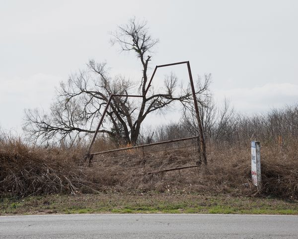 © Julianne Clark - Image from the Golden Spring photography project