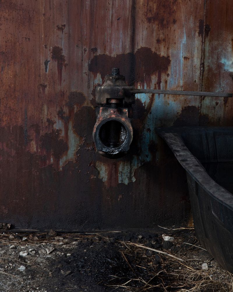 © Julianne Clark - Image from the Golden Spring photography project