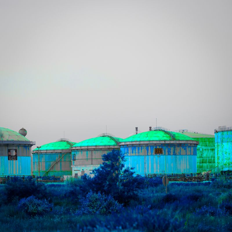 © Elise Llinares - Image from the The New Wilds photography project