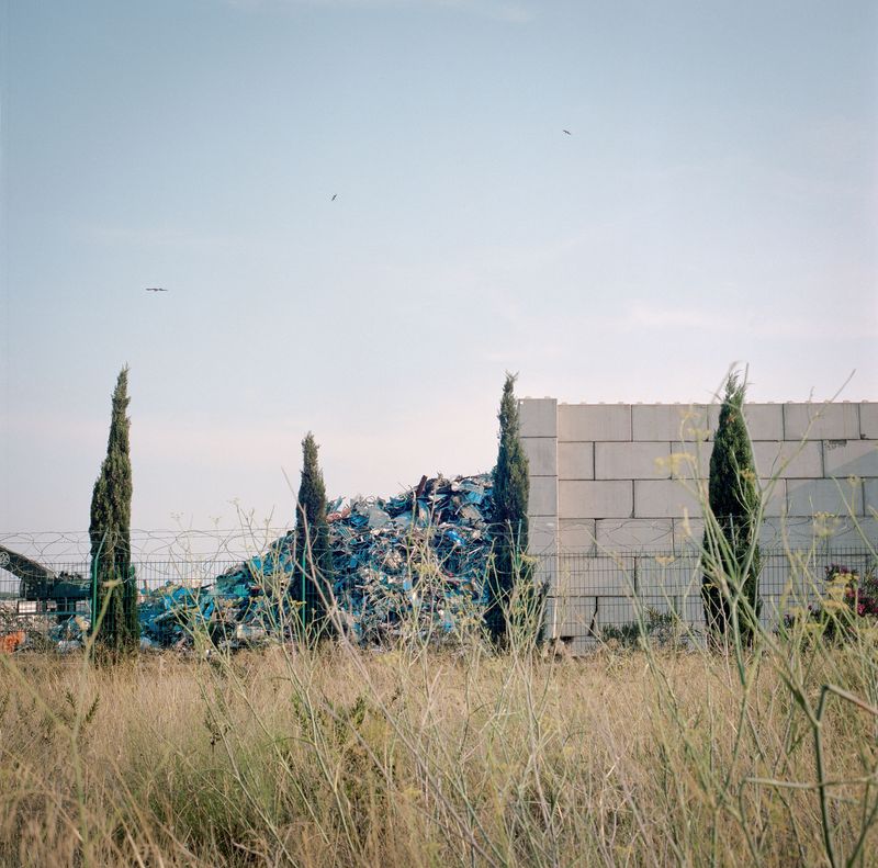 © Elise Llinares - Image from the The New Wilds photography project