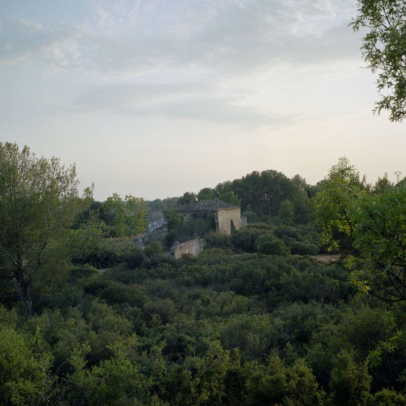 © Elise Llinares - Image from the The New Wilds photography project