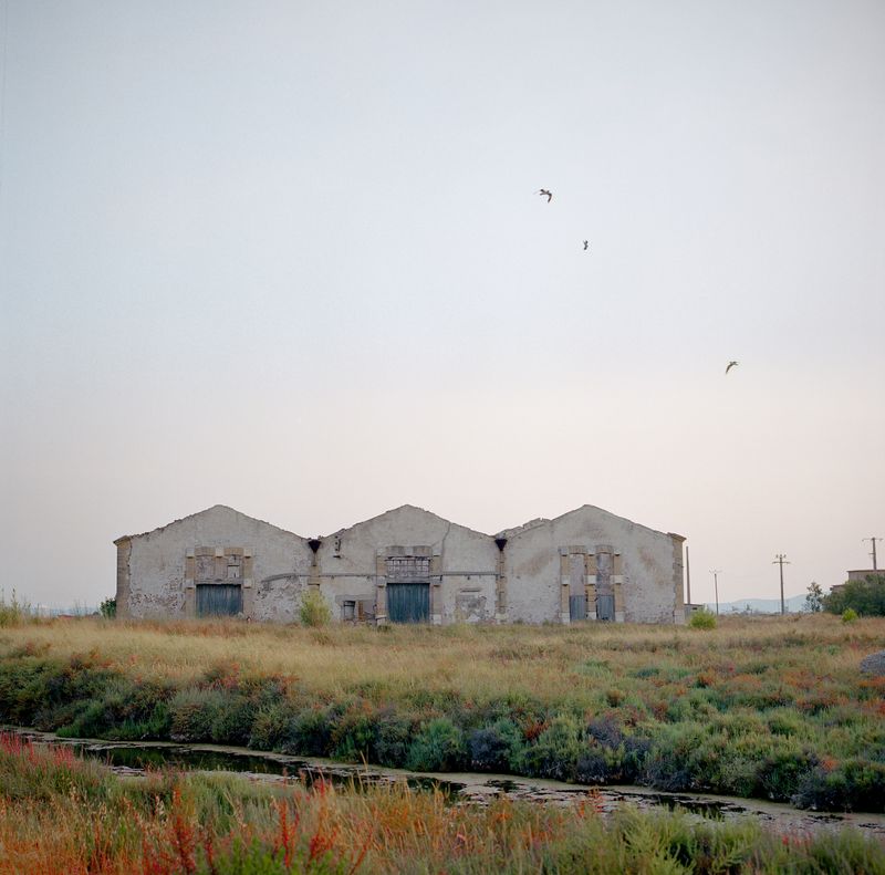© Elise Llinares - Image from the The New Wilds photography project