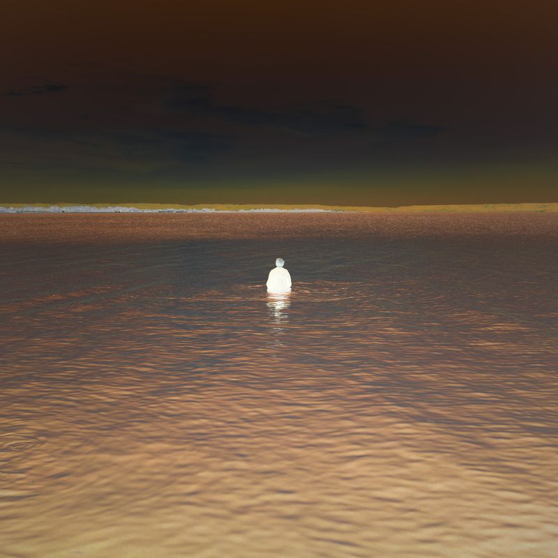 © Elise Llinares - Image from the The New Wilds photography project