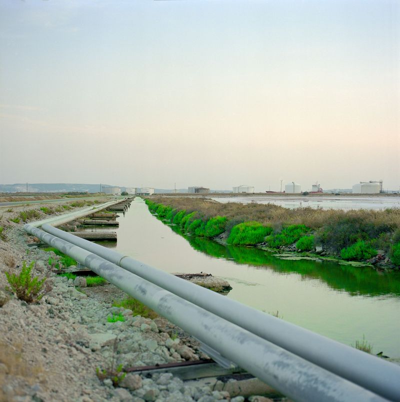 © Elise Llinares - Image from the The New Wilds photography project
