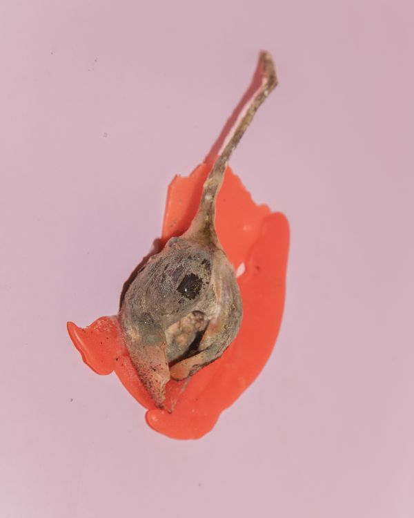 © Eeshani Mitra - Image from the Dreams Of An Orange Sky photography project