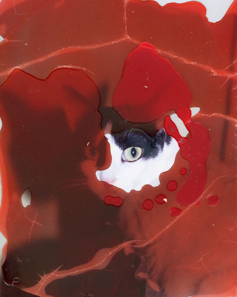 © Eeshani Mitra - Image from the Dreams Of An Orange Sky photography project