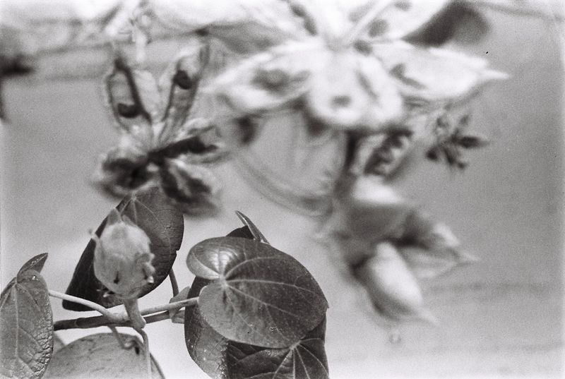 © Gabriela Pingarilho - Image from the We dive between the sparkless in the light blue sea photography project