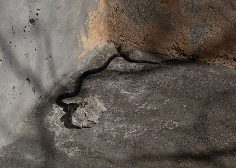 © Angela Ferrotti - Image from the Until the Sun and Moon go down photography project