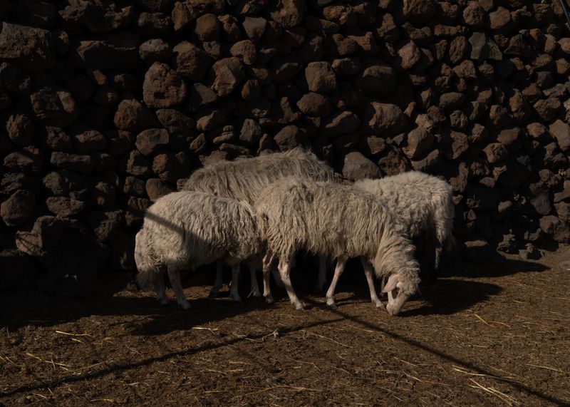 © Angela Ferrotti - Image from the Until the Sun and Moon go down photography project