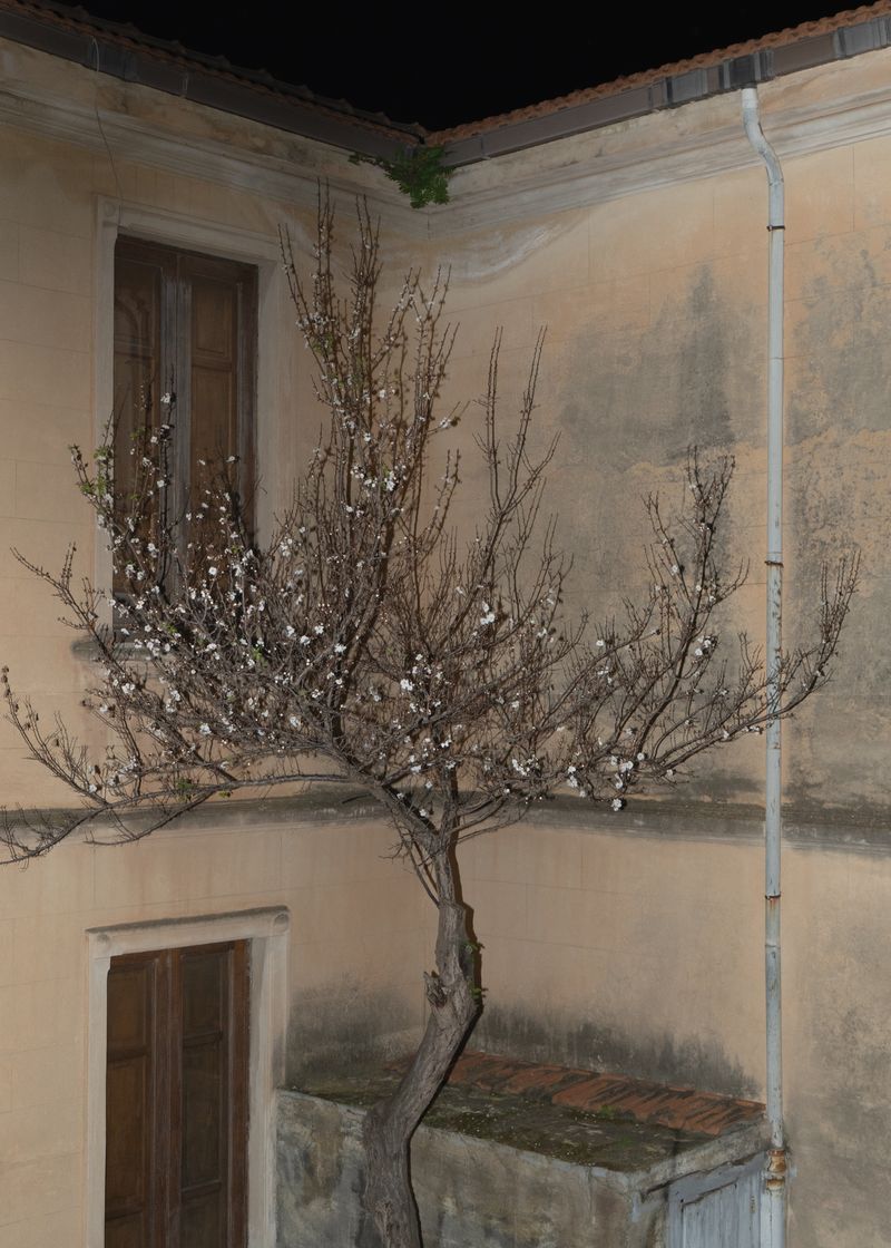 © Angela Ferrotti - Image from the Until the Sun and Moon go down photography project