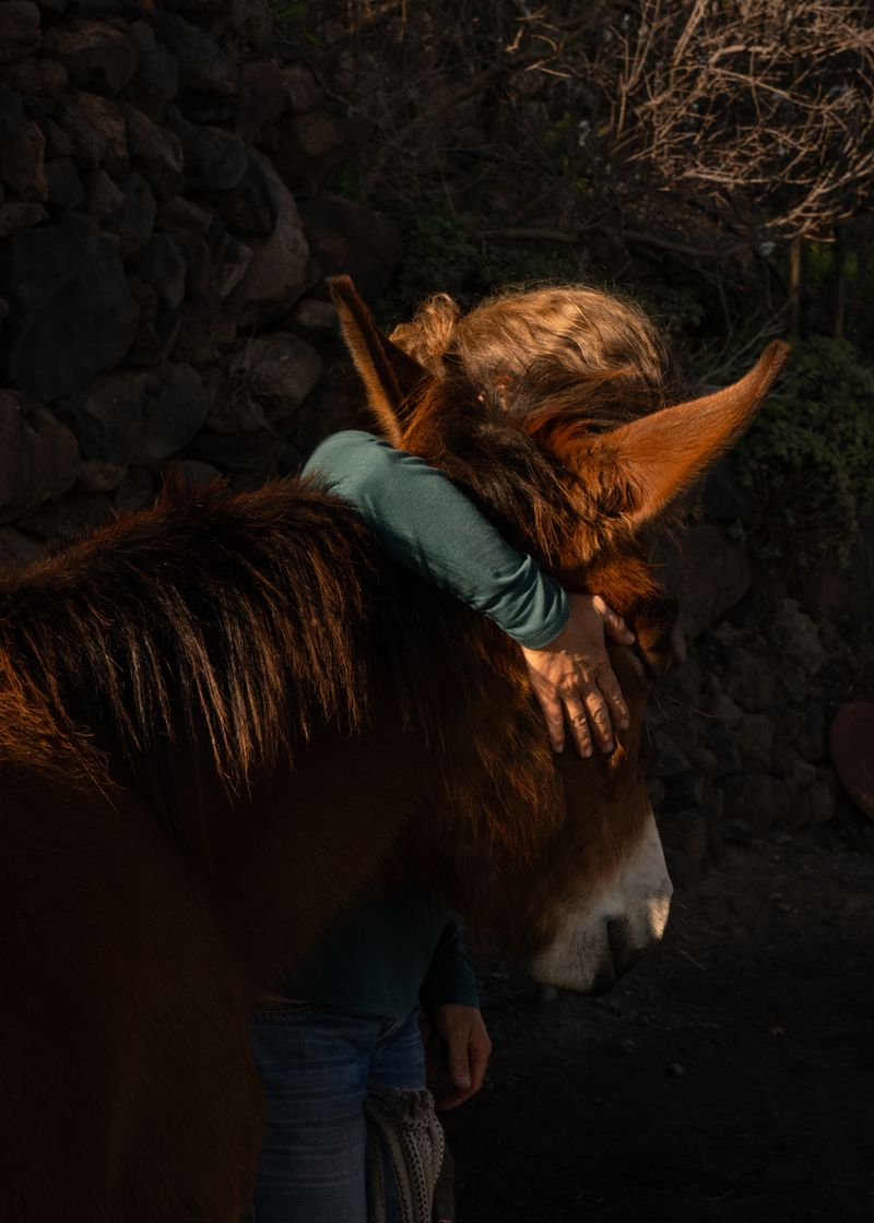 © Angela Ferrotti - Image from the Until the Sun and Moon go down photography project