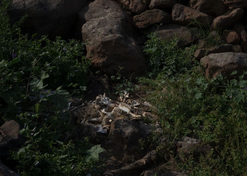 © Angela Ferrotti - Image from the Until the Sun and Moon Go Down photography project