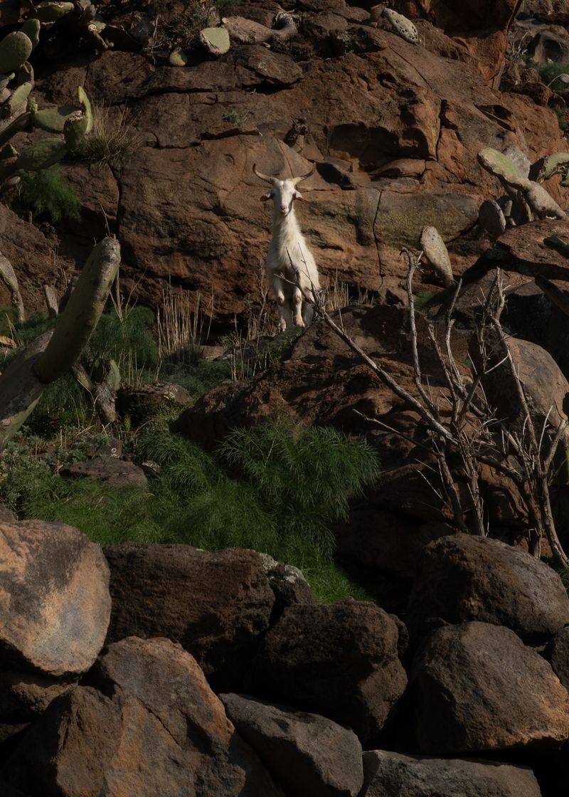 © Angela Ferrotti - Image from the Until the Sun and Moon go down photography project